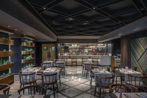 MSC Cruises MSC World Europa Chefs Garden Kitchen - Ivan Sarfatti and MSC Rights 4.jpg